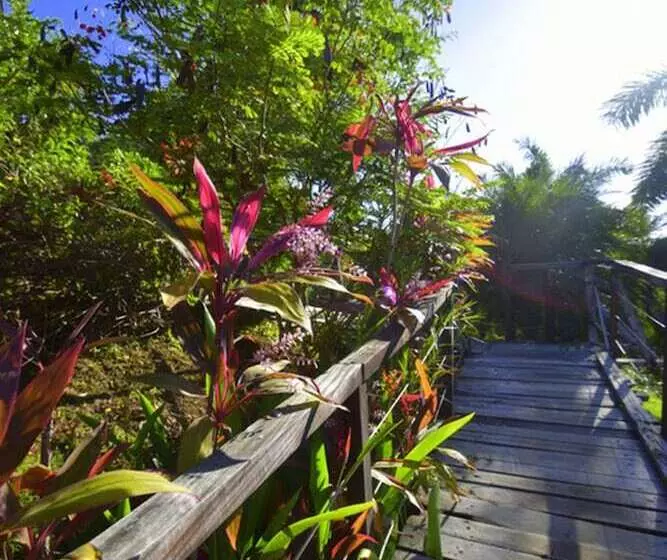 Hotelli Villas Punta India