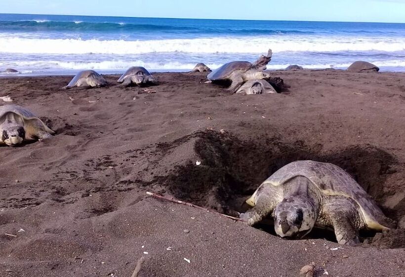 هتل Villas Punta India