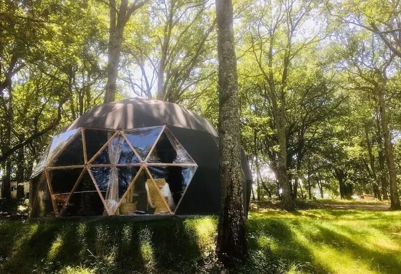 ホテル Whaka Lodge