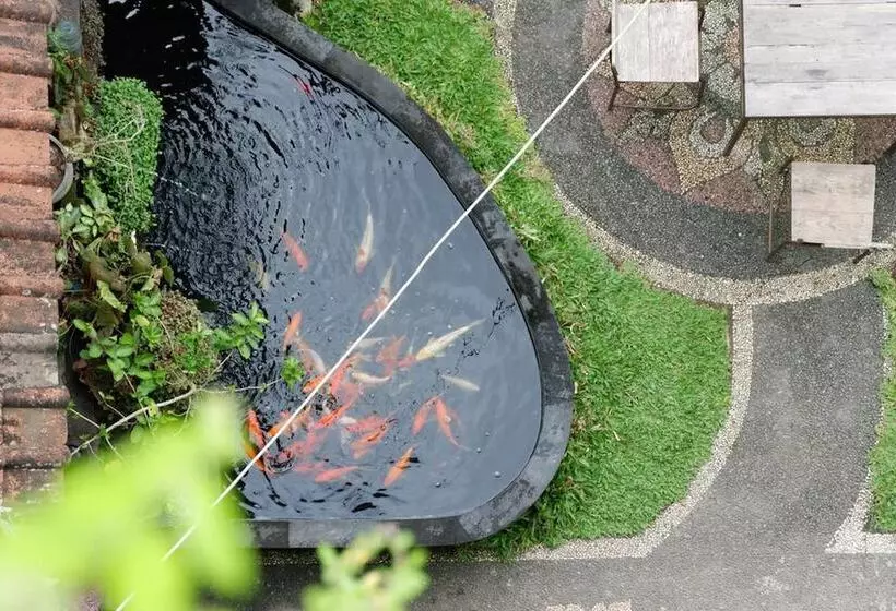Majatalo Ramaya Ubud View By Eps