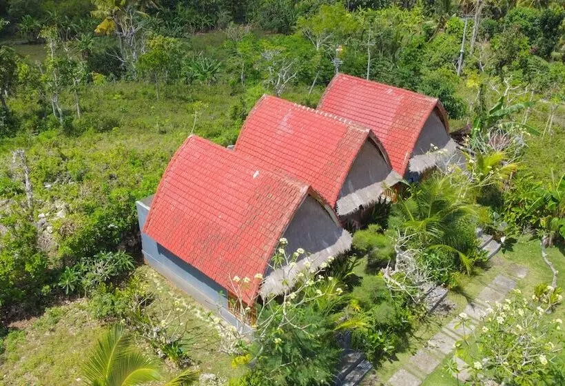 Majatalo Temeling Jungle Inn