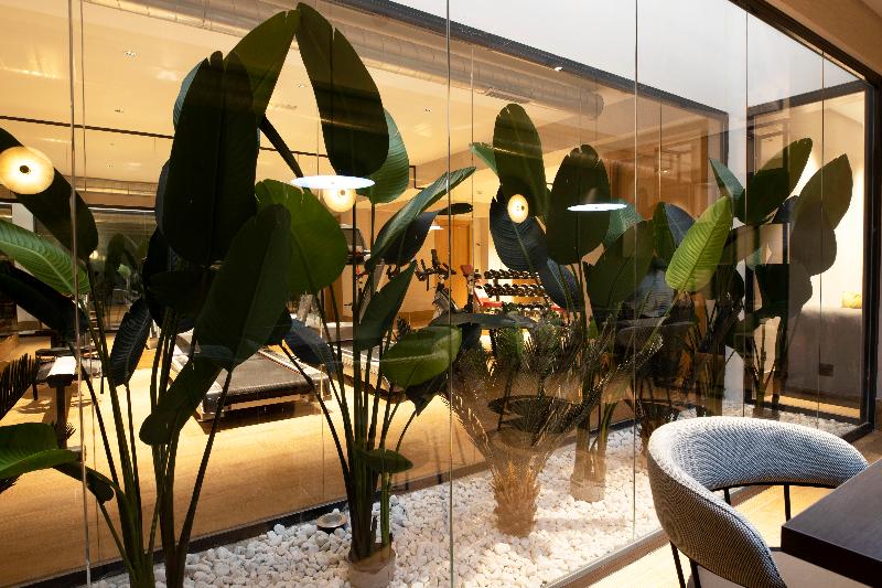 Goodnight Cadiz Apartments