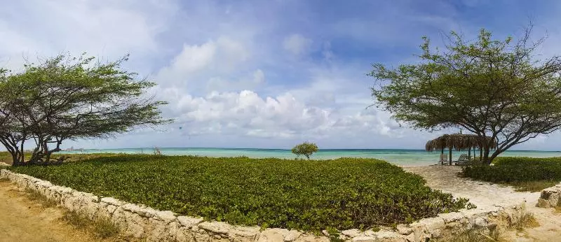هتل Beach House Aruba Apartments