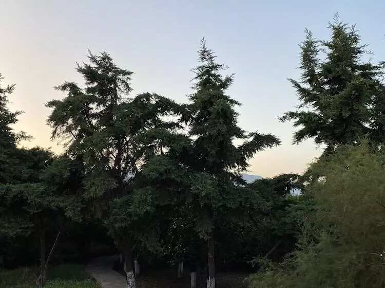 پانسیون Archontiko Riziko