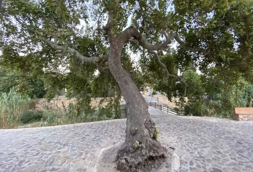 پانسیون Archontiko Riziko