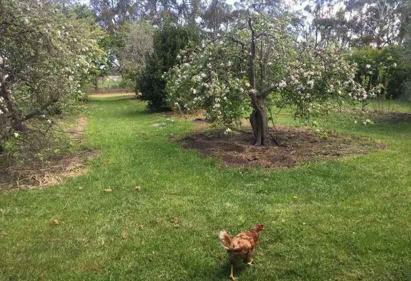 ホテル Bush Retreat Farm Stay 2 Br Guest Suite