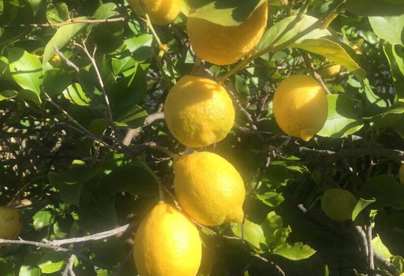 בית מלון כפרי Bush Retreat Farm Stay 2 Br Guest Suite