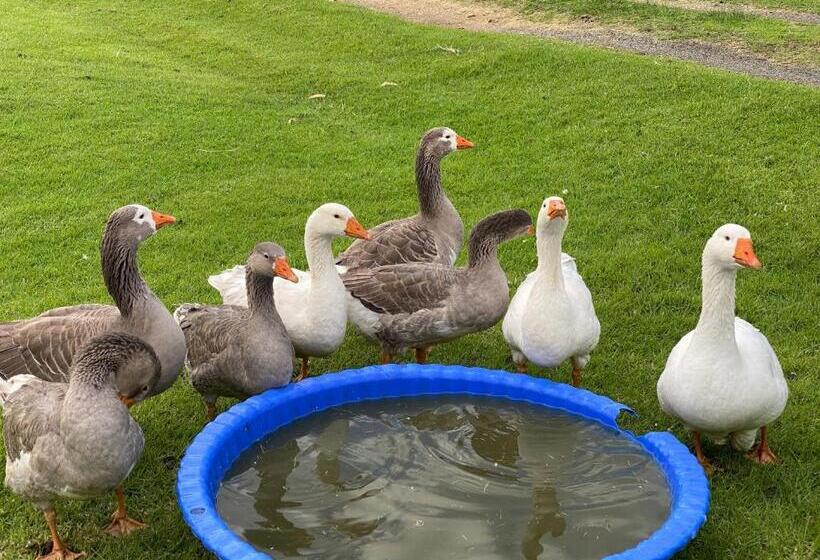 בית מלון כפרי Bush Retreat Farm Stay 2 Br Guest Suite