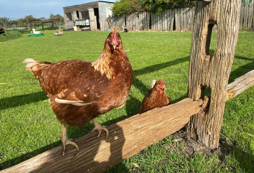 בית מלון כפרי Bush Retreat Farm Stay 2 Br Guest Suite