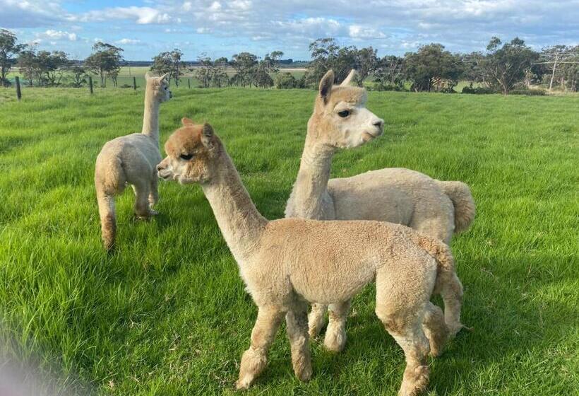 בית מלון כפרי Bush Retreat Farm Stay 2 Br Guest Suite