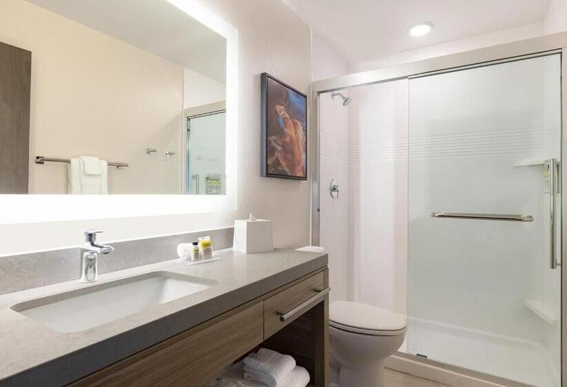 酒店 Candlewood Suites Lexington Medical District, An Ihg