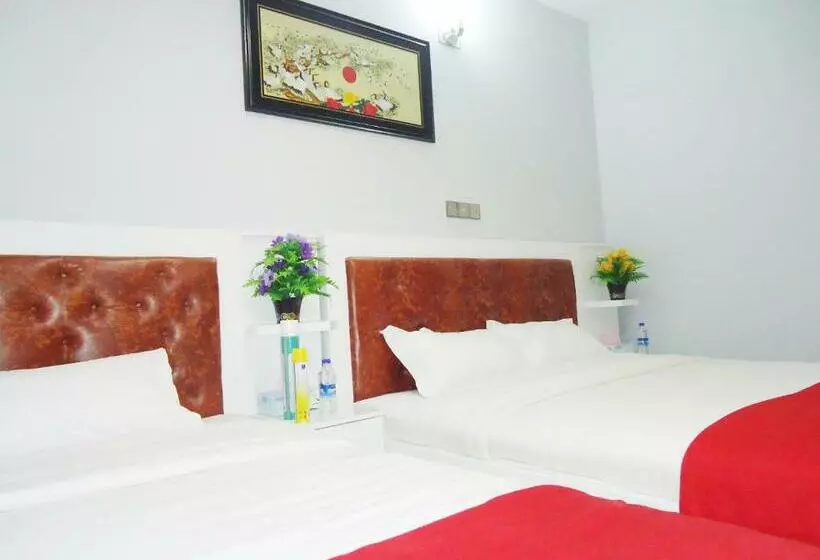 هتل Star International