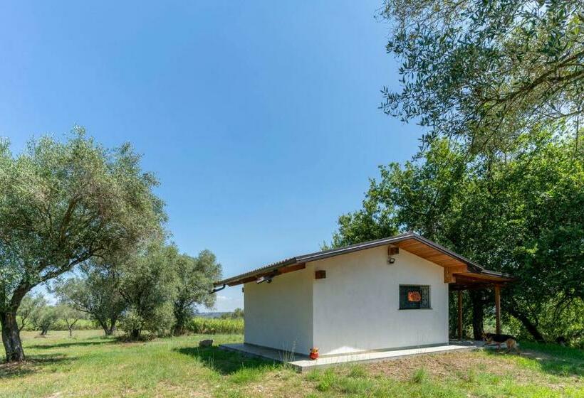 Пансион Tenuta Le Tre Querce