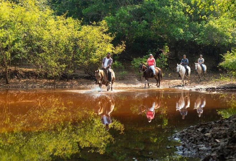 Pensionat Pousada Fazenda Xaraés