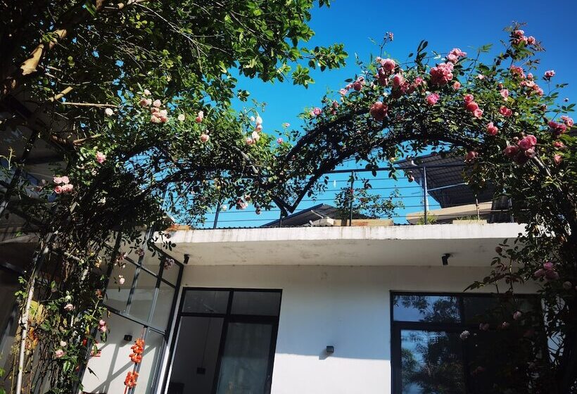 פנסיון Tujia Folk Houses