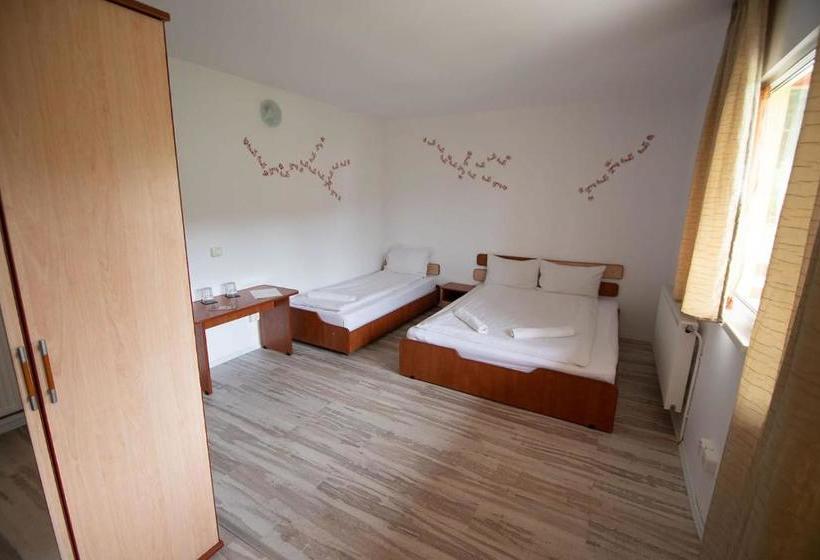 پانسیون Vila Luna Predeal