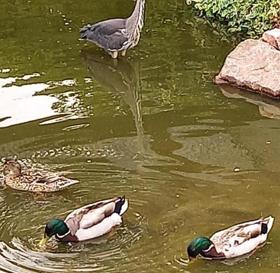 민박 Chambres Et Gites D étretat