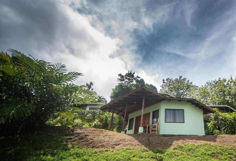 Отель Ballena Paraíso Lodge