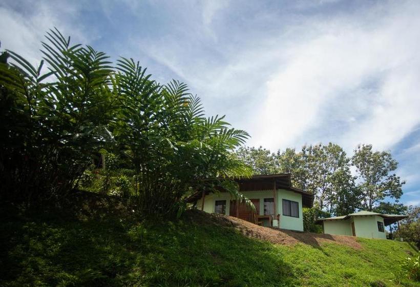 Отель Ballena Paraíso Lodge