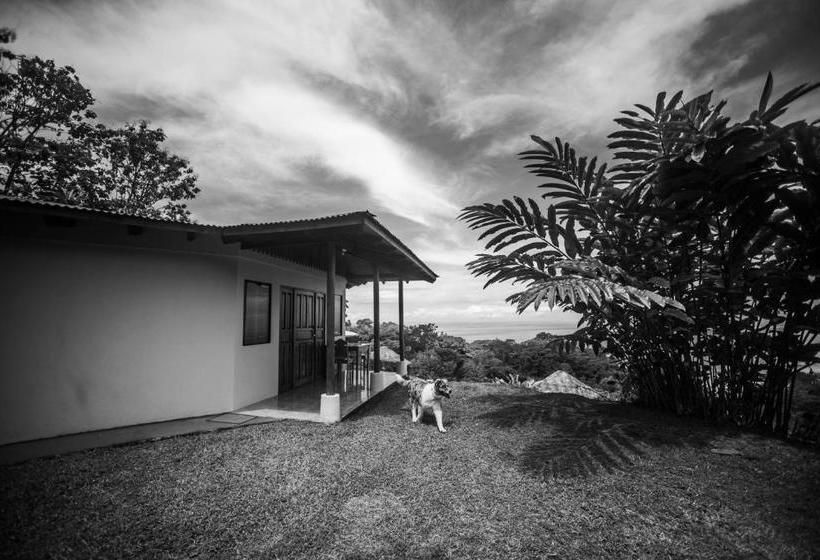 Отель Ballena Paraíso Lodge