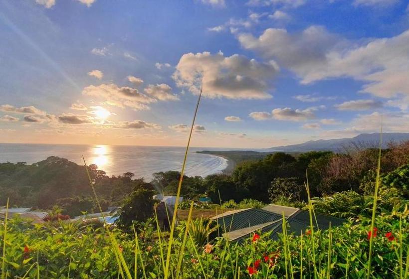 Отель Ballena Paraíso Lodge