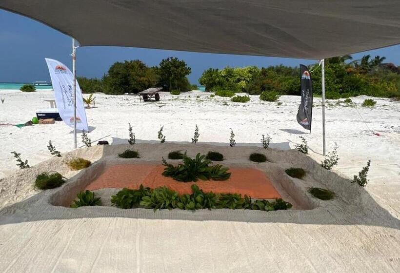 تختخواب و صبحانه Rising Sun Beach View