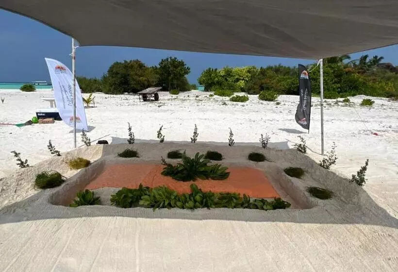 تختخواب و صبحانه Rising Sun Beach View