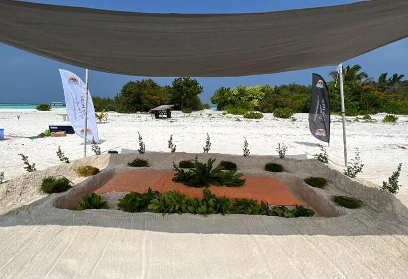 تختخواب و صبحانه Rising Sun Beach View