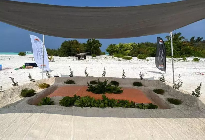 تختخواب و صبحانه Rising Sun Beach View