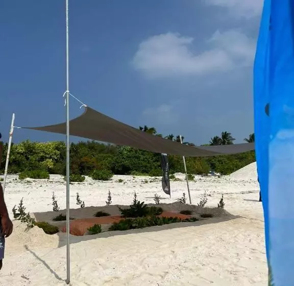 تختخواب و صبحانه Rising Sun Beach View