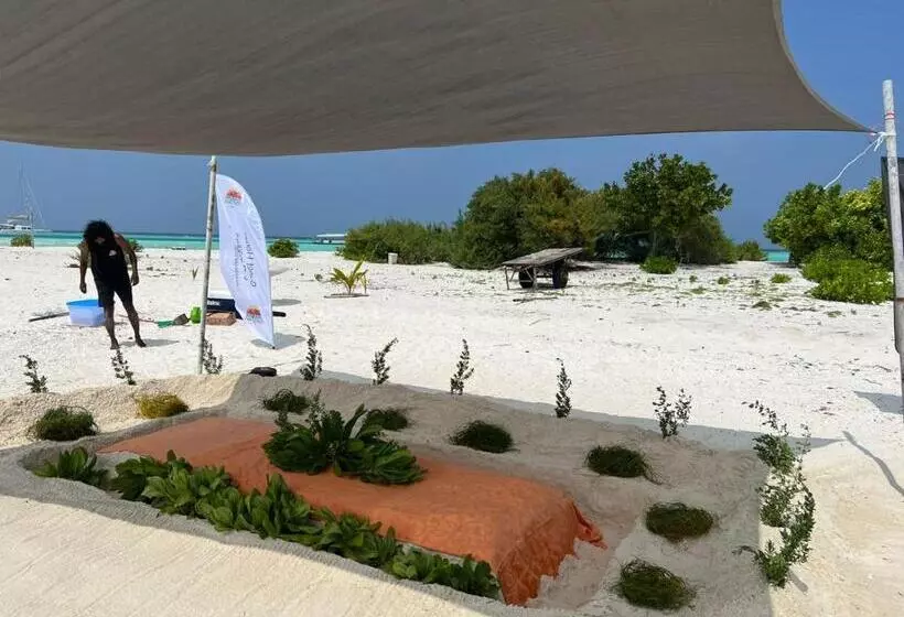 تختخواب و صبحانه Rising Sun Beach View