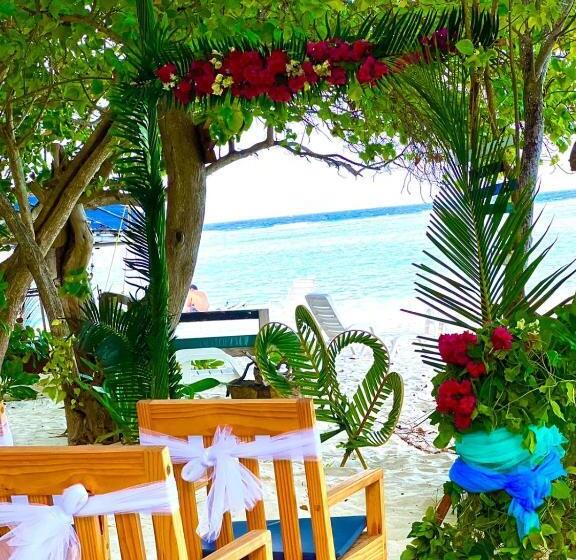 تختخواب و صبحانه Rising Sun Beach View