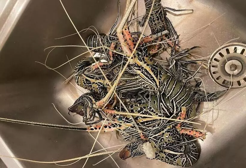 تختخواب و صبحانه Rising Sun Beach View