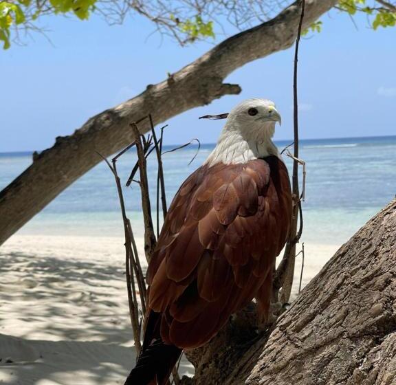 تختخواب و صبحانه Rising Sun Beach View