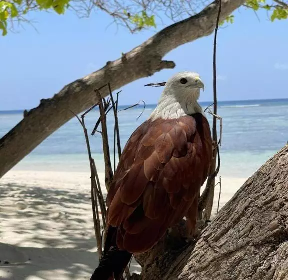 تختخواب و صبحانه Rising Sun Beach View