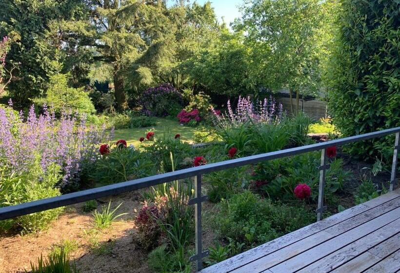 膳宿费 Willa Woiperdinger