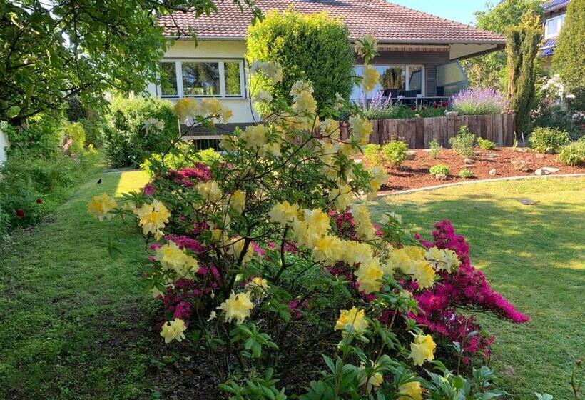 膳宿费 Willa Woiperdinger