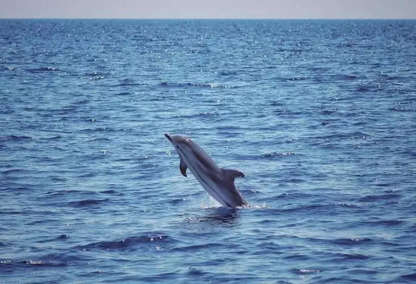 پانسیون A Mare Exclusive Rooms & Suites