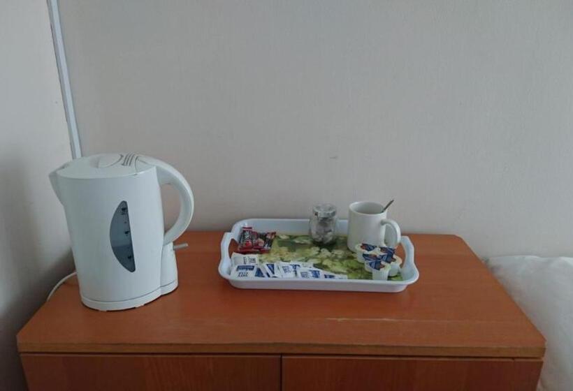 پانسیون Room In Guest Room   Tiny Single Shared Bathroom Room Ssbyr