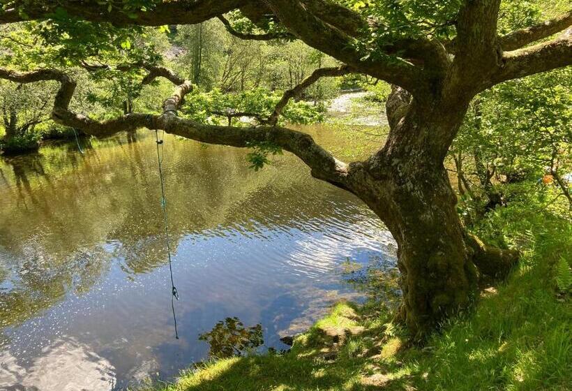 Riverbank Bed And Breakfast