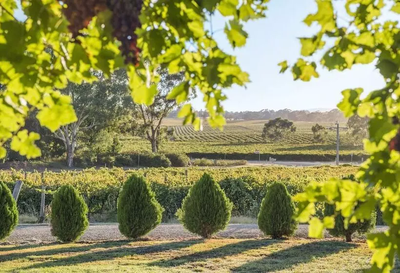 Отель Barossa Shiraz Estate