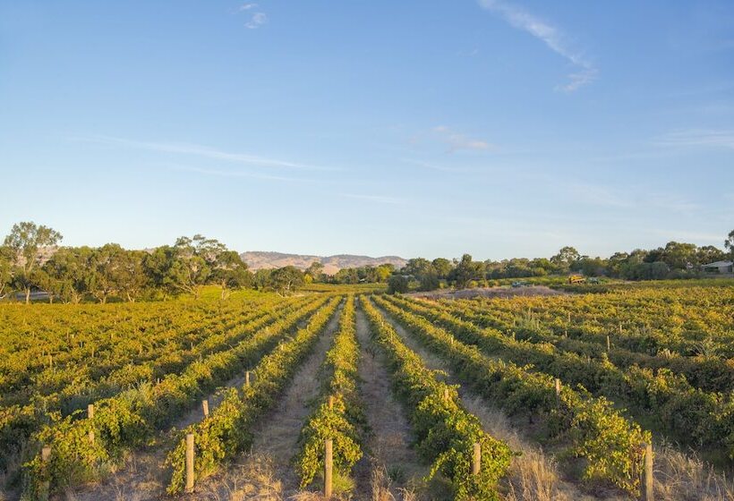 בית מלון כפרי Barossa Shiraz Estate