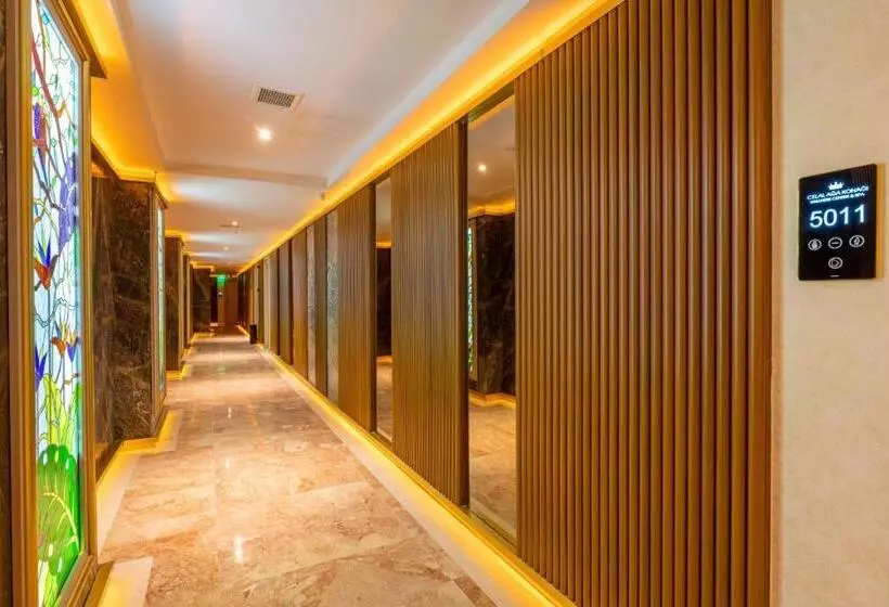 ホテル Wyndham Istanbul Old City