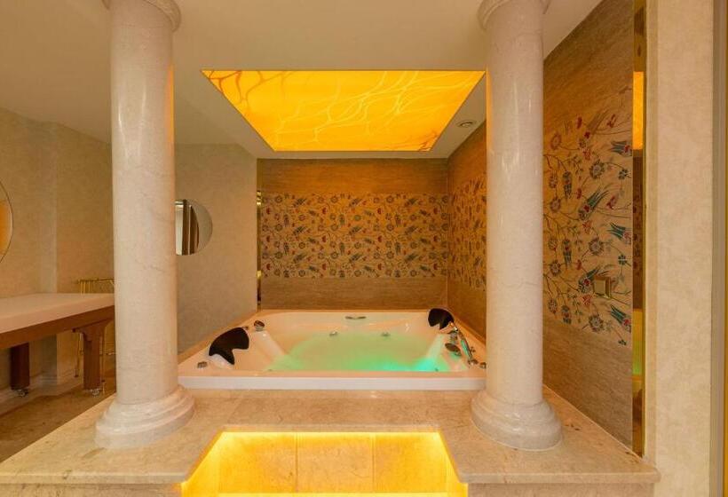 בית מלון כפרי Wyndham Istanbul Old City