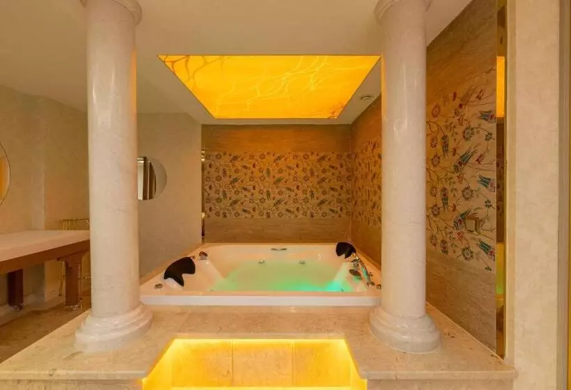 ホテル Wyndham Istanbul Old City