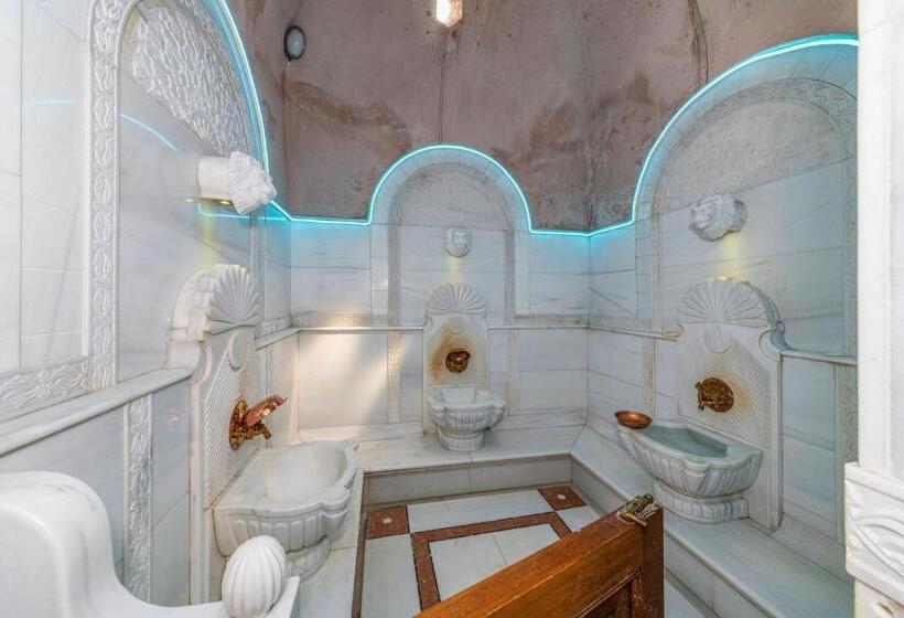 בית מלון כפרי Wyndham Istanbul Old City