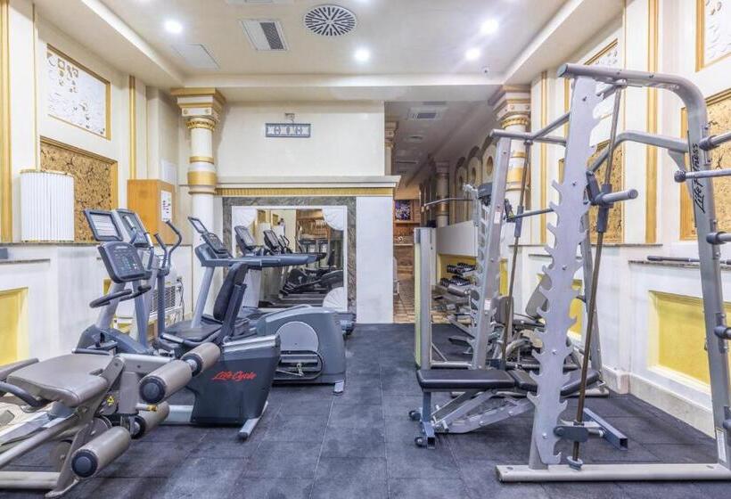 בית מלון כפרי Wyndham Istanbul Old City