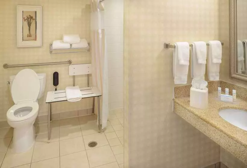 בית מלון כפרי Hilton Garden Inn Joplin