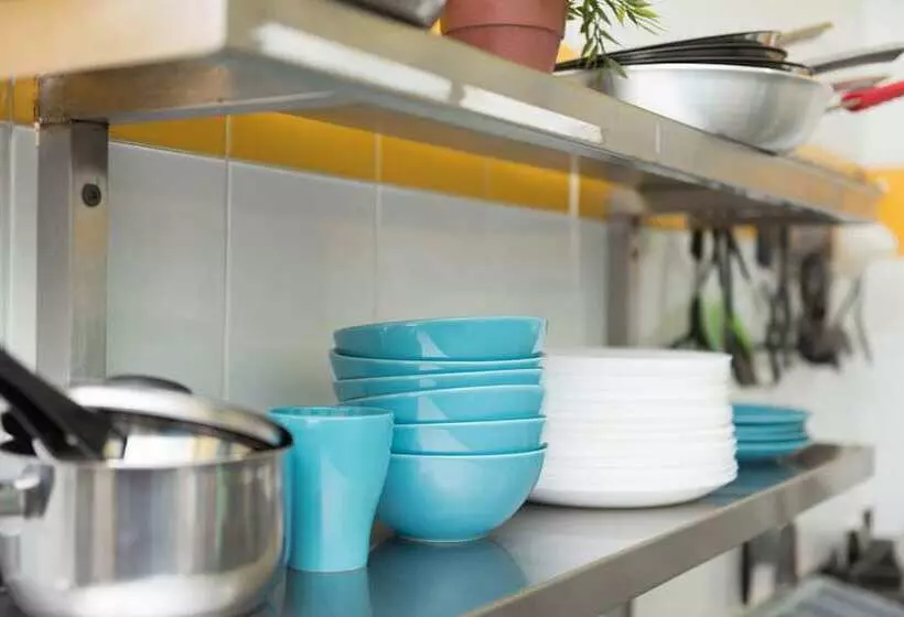 בית מלון כפרי Mad Monkey Potts Point