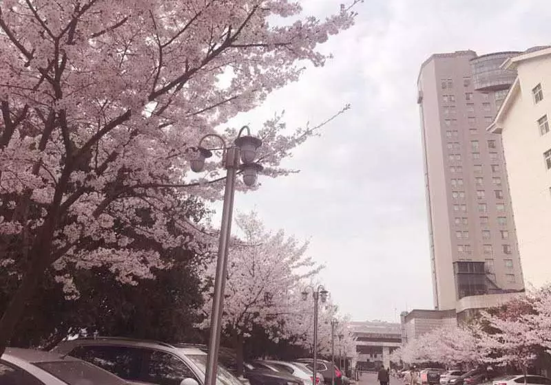 ホテル Xiongchu International